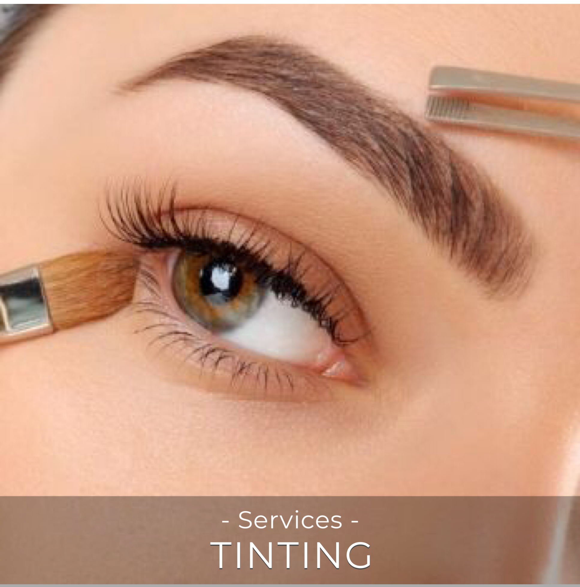 C531FF40-7672-49E5-8173-FB641E99AE03